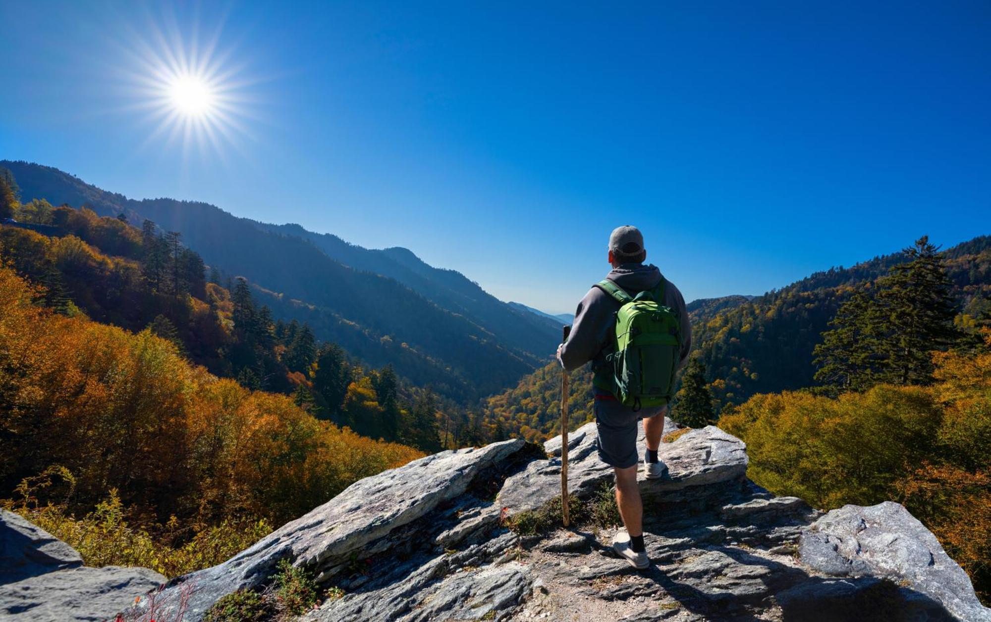 Wilderness Lodge, Hot Tub, Game Room, Pool Access, 1089 Free Tickets Each Paid Day, Dollywood And M 세비어빌 외부 사진
