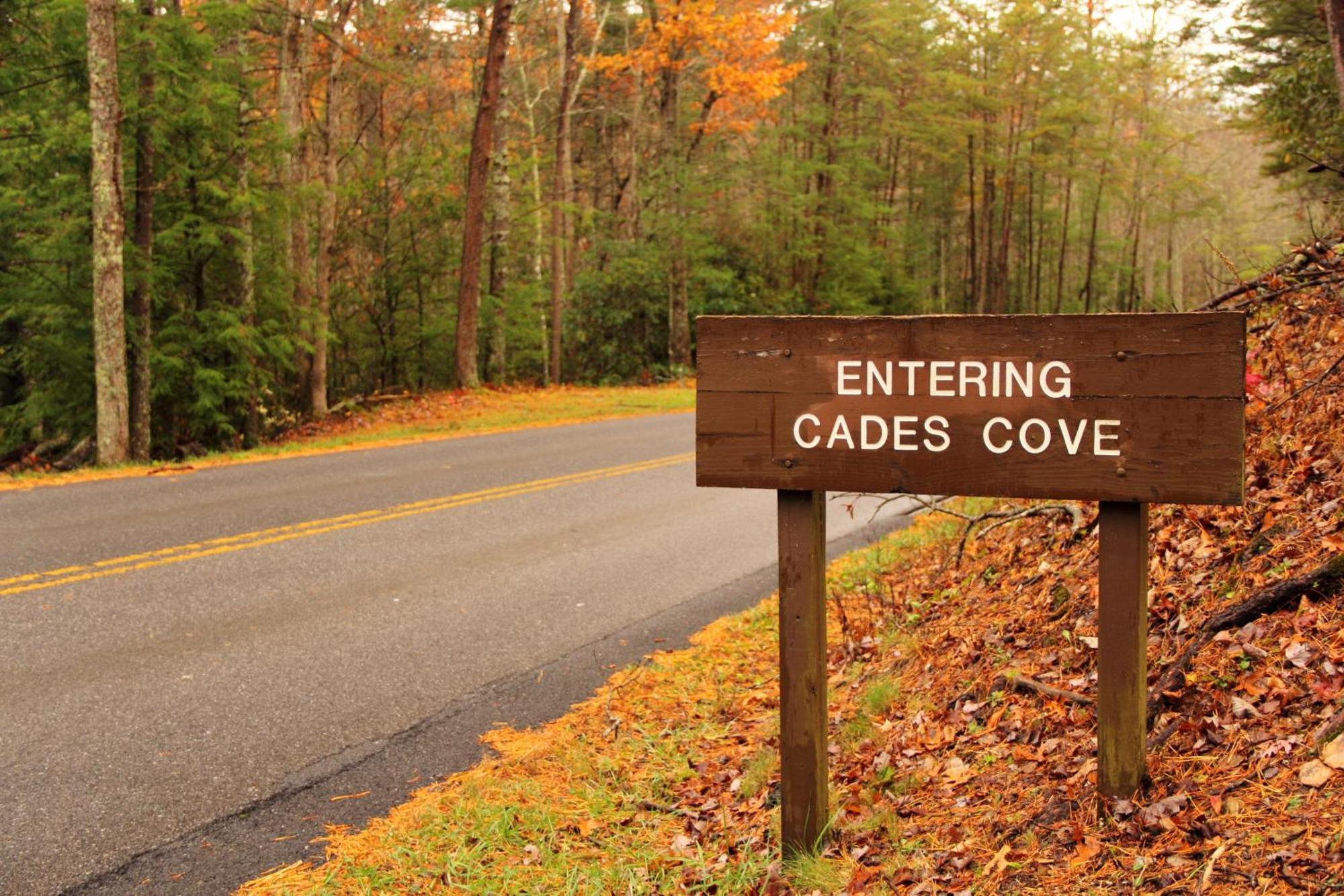 Wilderness Lodge, Hot Tub, Game Room, Pool Access, 1089 Free Tickets Each Paid Day, Dollywood And M 세비어빌 외부 사진
